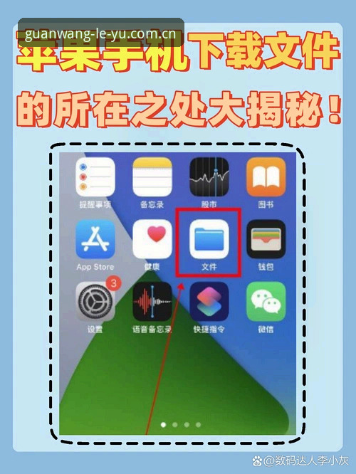揭秘乐鱼官网苹果版下载失败背后的真相——6个你必须知道的细节